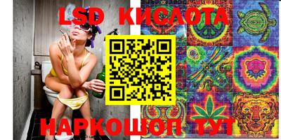ПСИЛОЦИБИНОВЫЕ ГРИБЫ Можайск