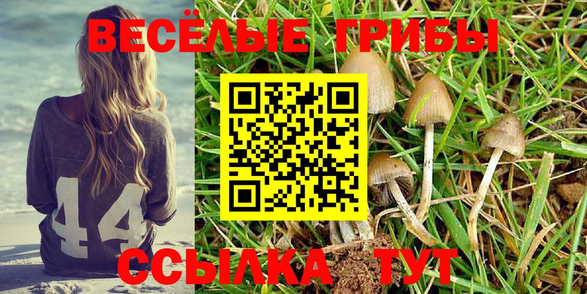 Галлюциногенные грибы Psilocybine cubensis  Вход с VPN  Югорск 